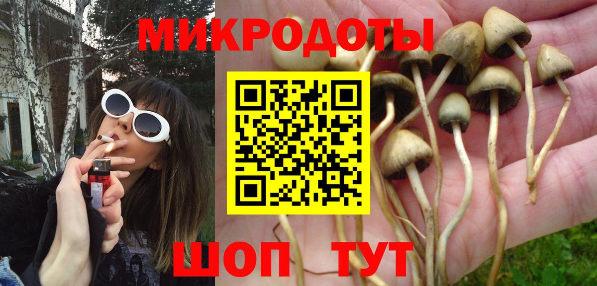 Псилоцибиновые грибы Magic Shrooms Ишимбай